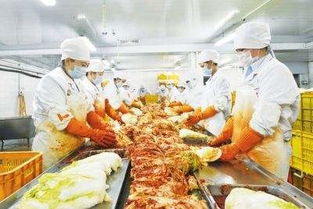 吉林農產品加工業加速向“三化”發展，土特產迎來新機遇