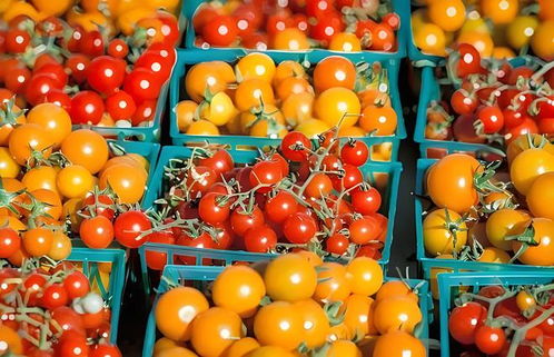 村村通冷鏈 構(gòu)建土特產(chǎn)產(chǎn)銷一體化生態(tài)集群，激活產(chǎn)業(yè)鏈新動(dòng)能