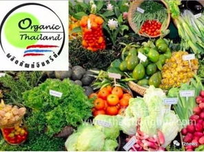 阿披拉迪 推動(dòng)有機(jī)農(nóng)產(chǎn)品走出國門，讓泰國土特產(chǎn)香飄世界